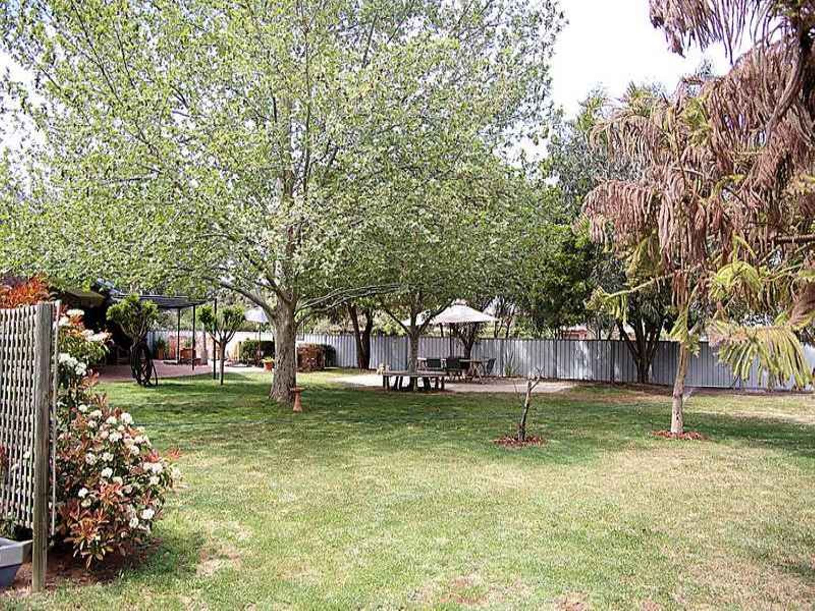 10 Tireel Drive, Nichols Point - Thumbnail 4