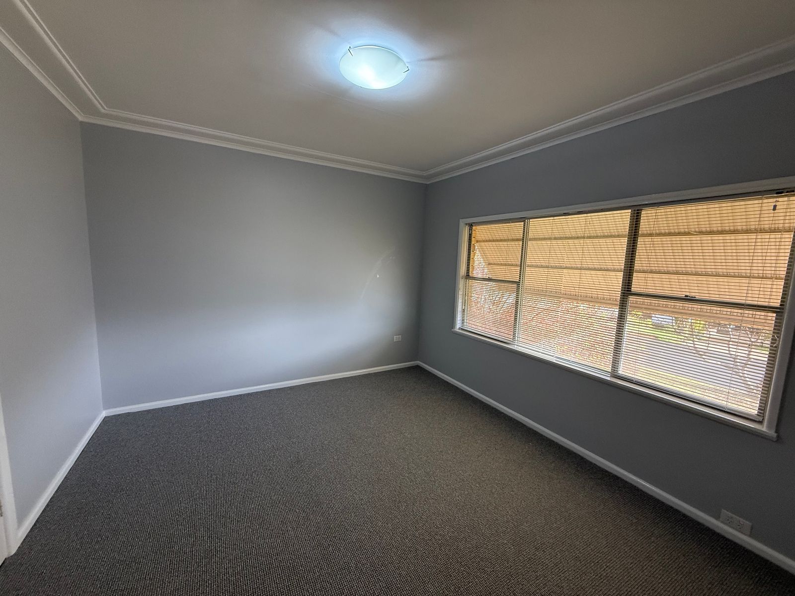 132 Rawson Avenue, Tamworth NSW 2340, Tamworth - Thumbnail 7