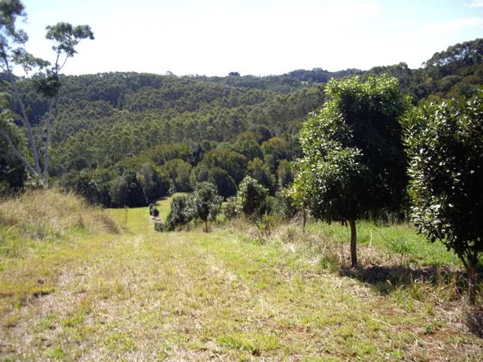 15a (Lot 1) Walker Street, Clunes - Thumbnail 5
