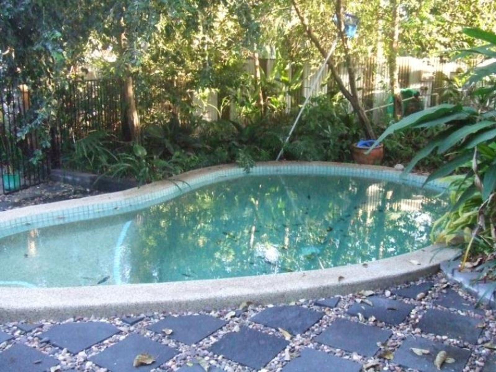 15 Mayhew Crescent, Jingili NT 0810, Jingili - Thumbnail 2