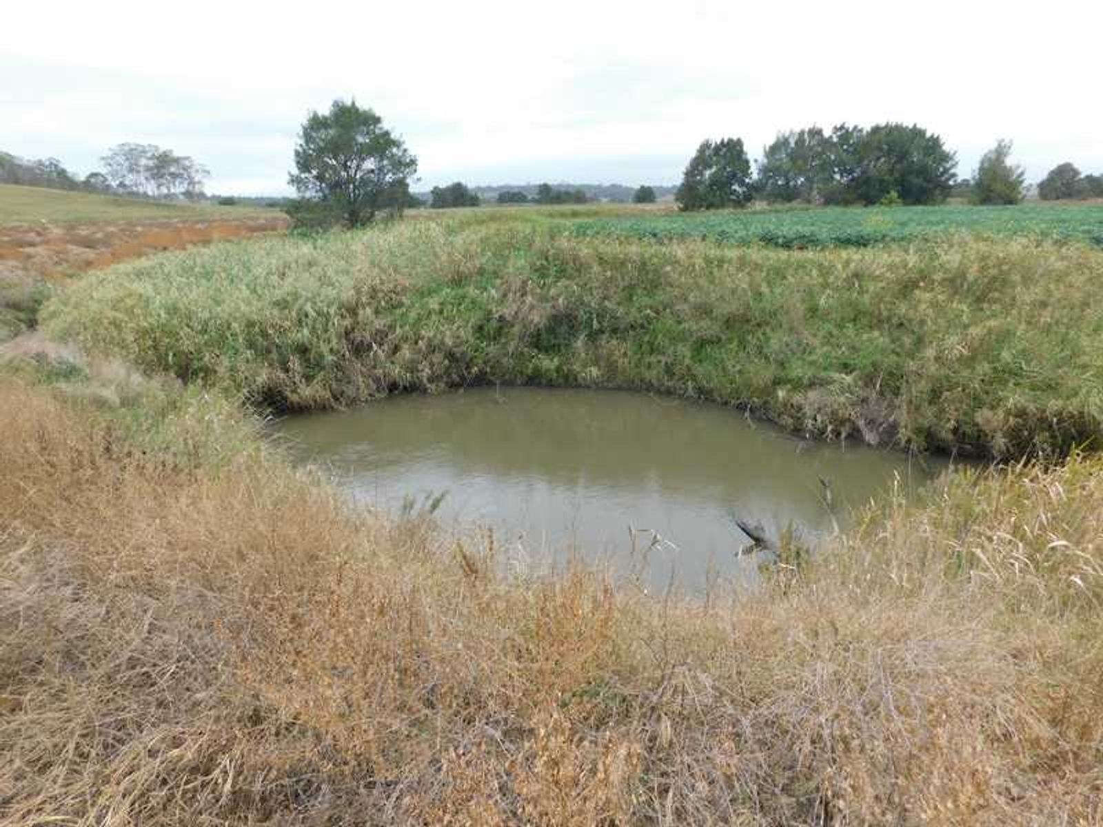 214 Watts Road, Loch Lomond, QLD 4370, Loch Lomond - Thumbnail 6