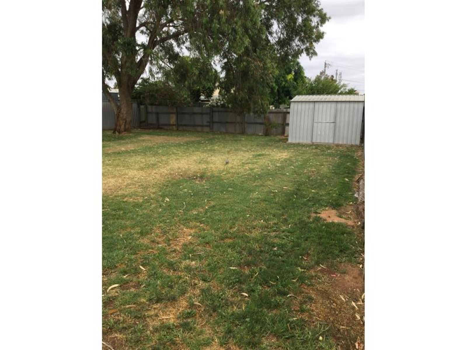 23 San Mateo Avenue, Mildura - Thumbnail 6