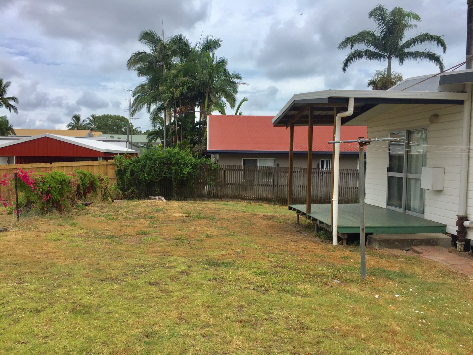 Back yard 2
