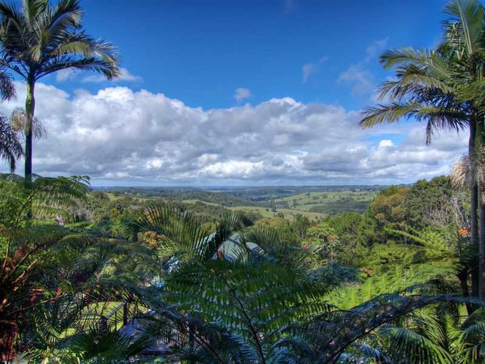 497 Coolamon Scenic Drive, Coorabell - Thumbnail 4