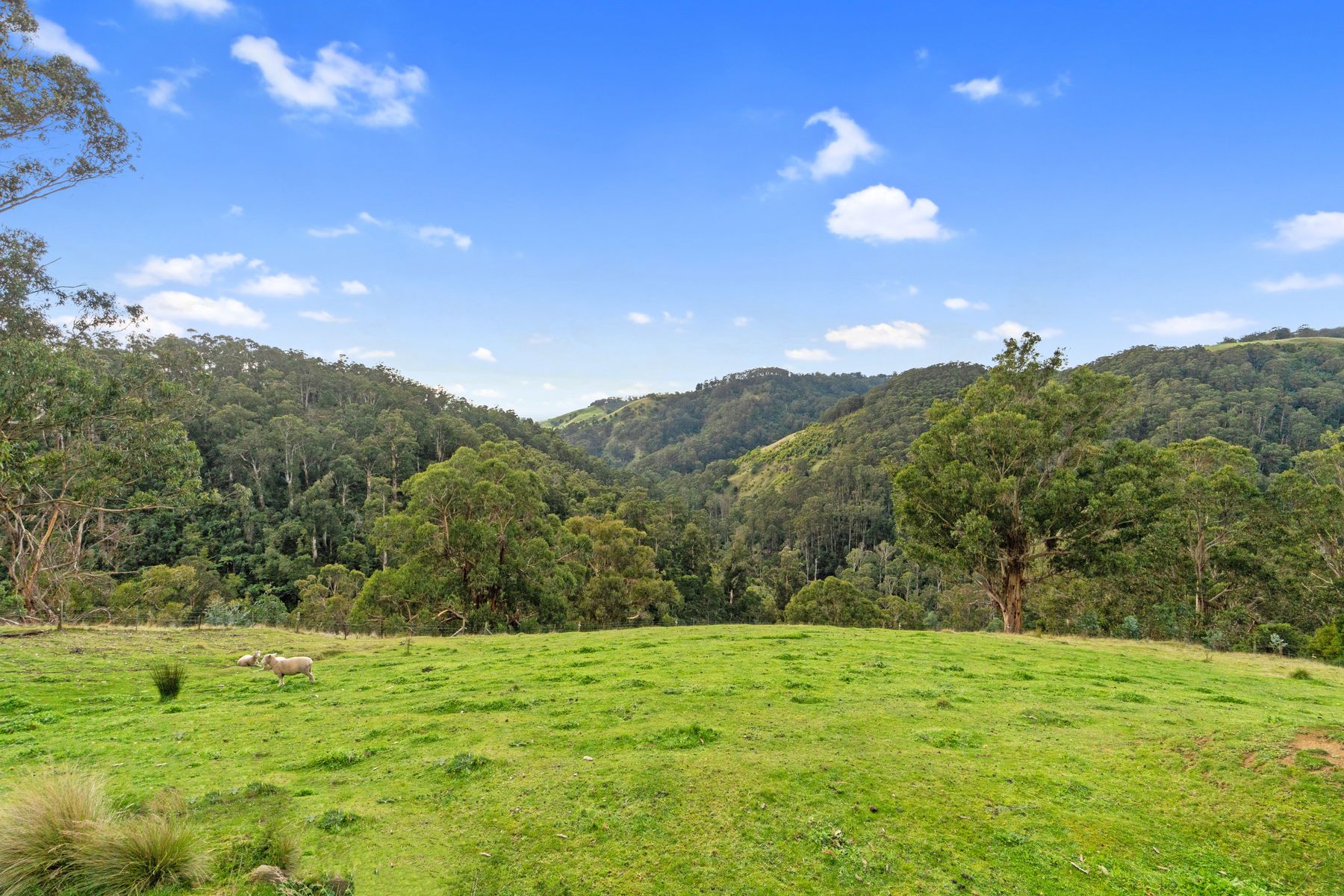 07 995 Jumbuk Rd, Yinnar South