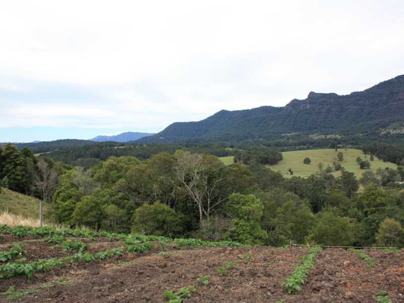 20 O'Briens Road, Mount Burrell - Thumbnail 6