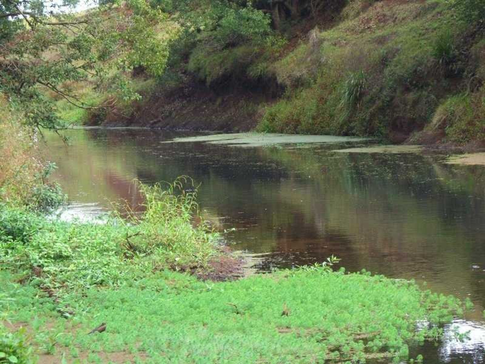 Lot 22 Lot 22 Booyong Road, Clunes - Thumbnail 4