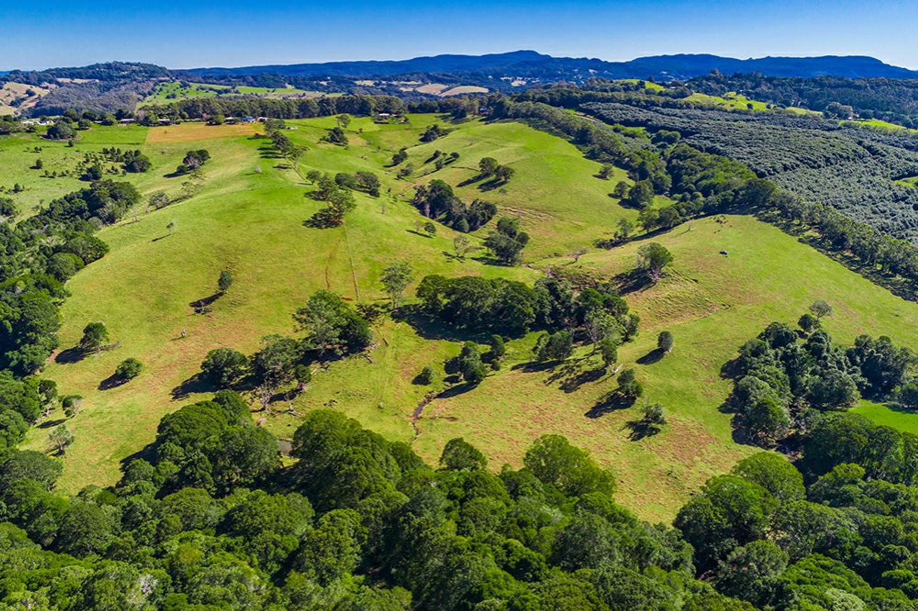320 Coorabell Road, Coorabell - Thumbnail 5