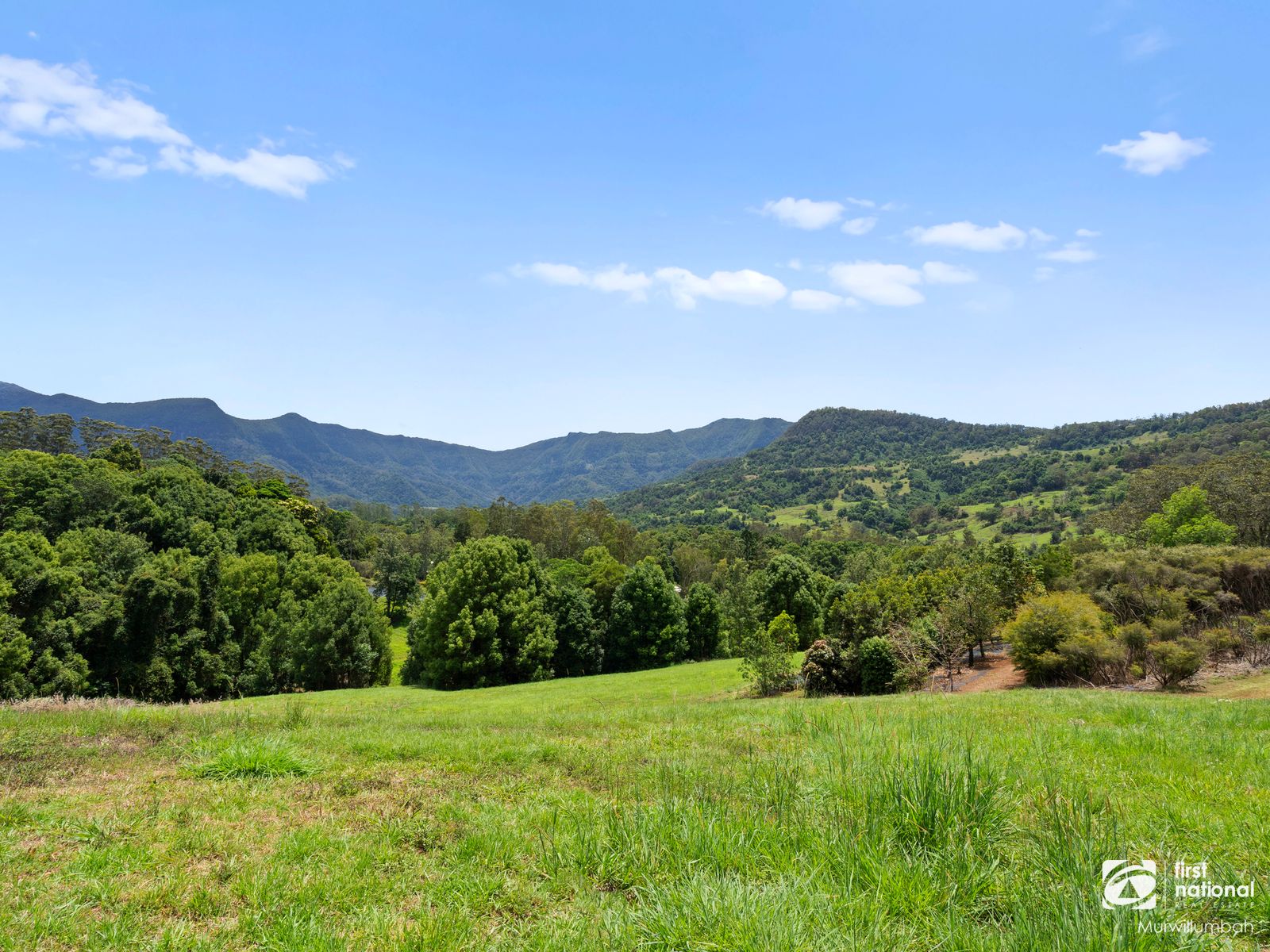 245 Limpinwood Valley Road, Limpinwood NSW 2484, Limpinwood - Thumbnail 5