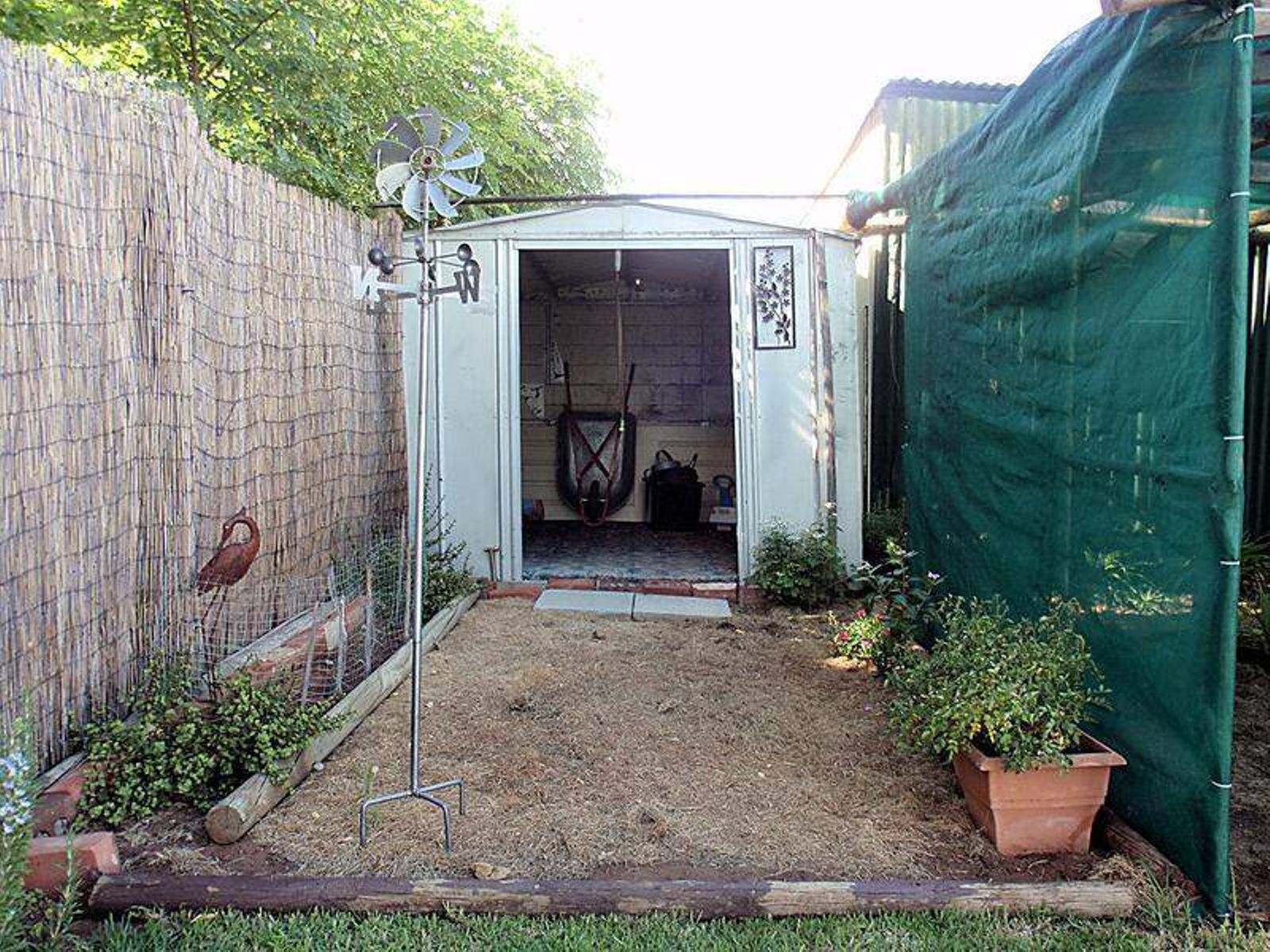 11 Neilpo Street, Dareton - Thumbnail 8