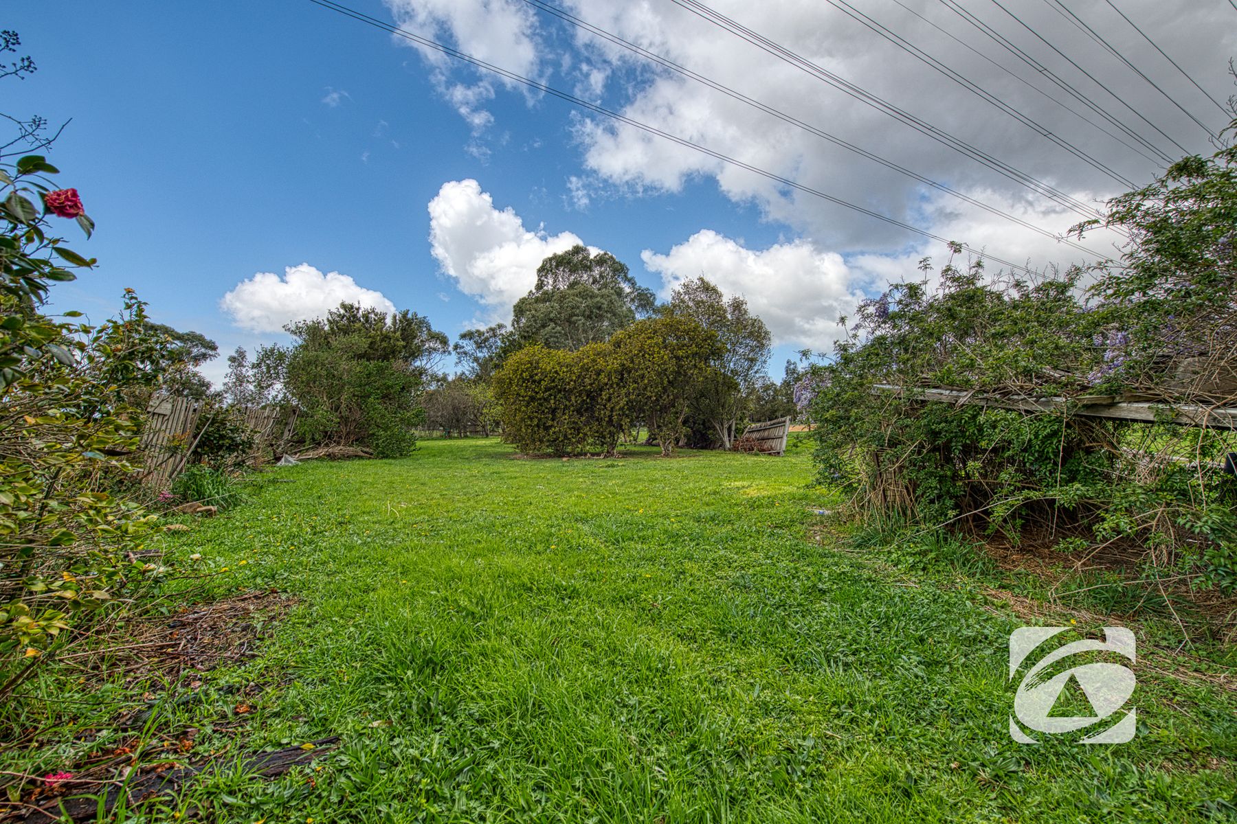 50 Scarborough Avenue, Cranbourne West VIC 3977, Cranbourne West - Thumbnail 8