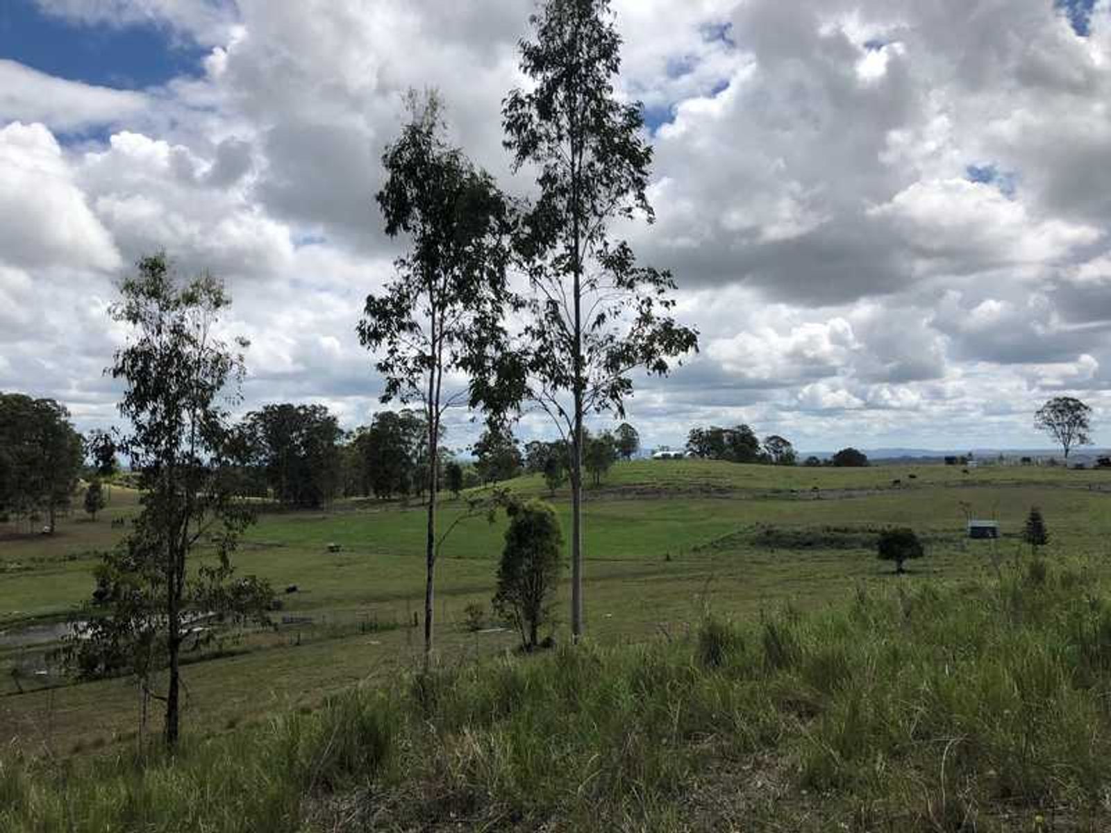 Lot 2/800 Lot 2/ 800 Ellangowan Road, Yorklea - Thumbnail 7