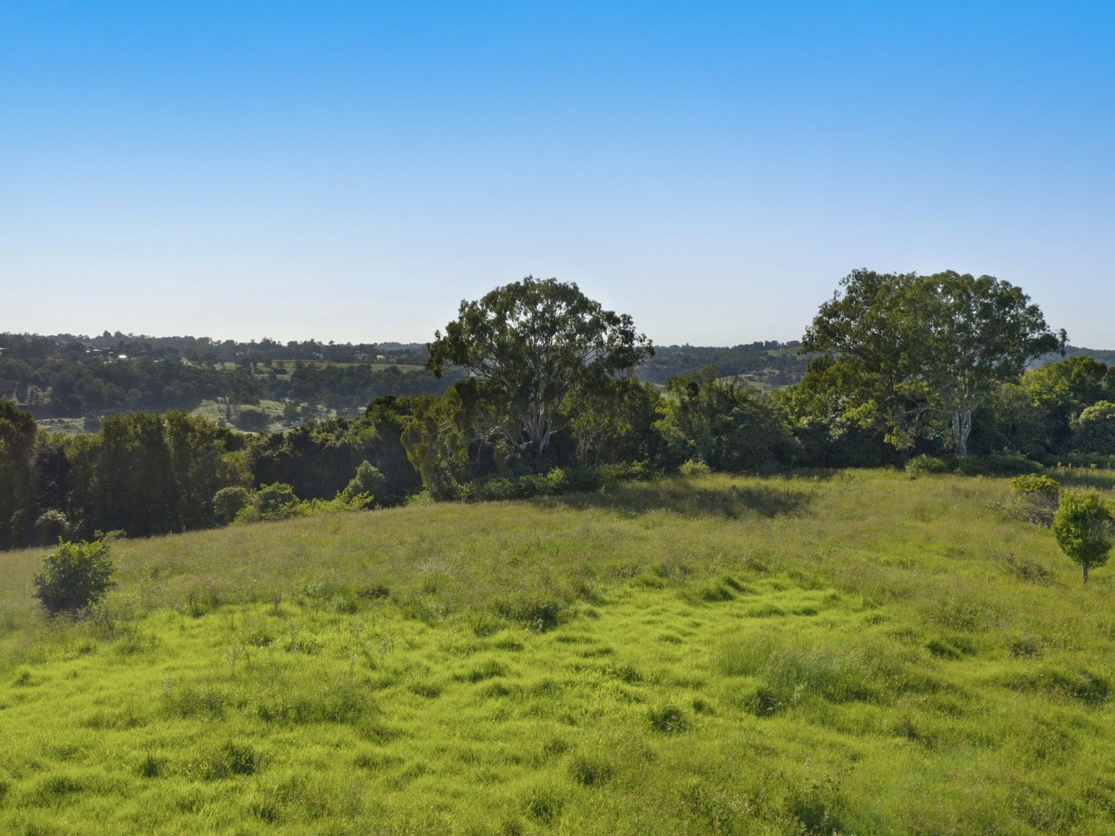 245 Wyrallah Road, Monaltrie - Thumbnail 6