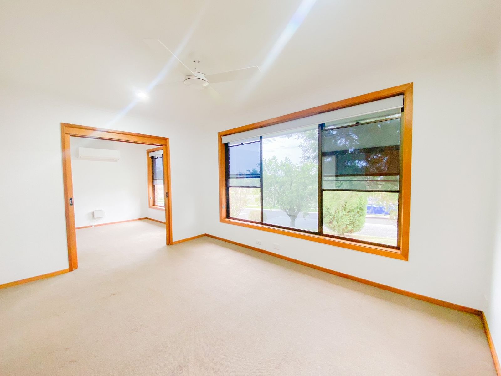 24 Wallis Street, East Maitland NSW 2323, East Maitland - Thumbnail 6