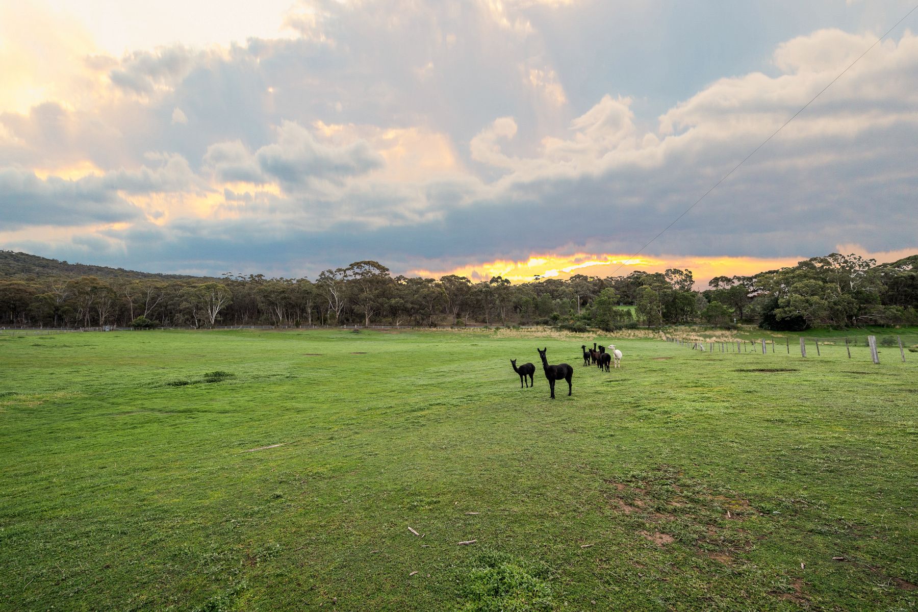 LOT 86/ 403 Mandurang South Road, Mandurang South For Sale by Farmbuy.com - image 6