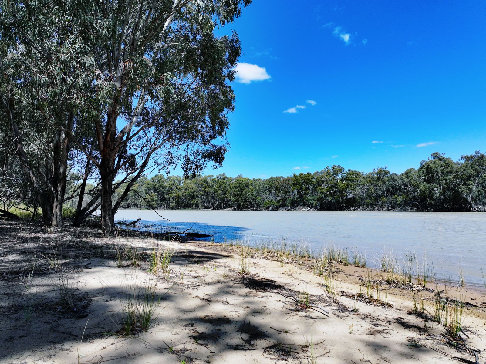 Lot 14 Renmark Road, Wentworth - Thumbnail 5
