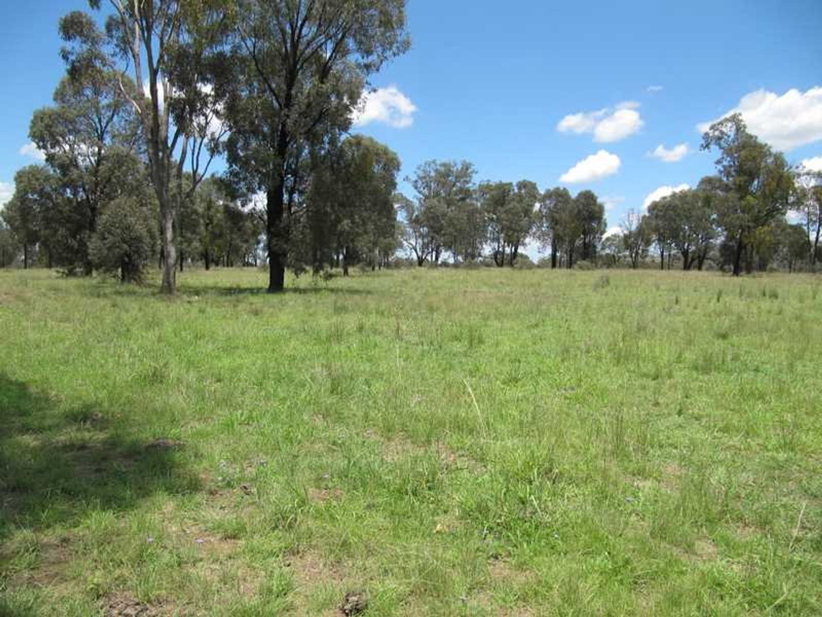 167 Rodgers Creek Road, Warwick, QLD 4370, Cunningham - Thumbnail 5