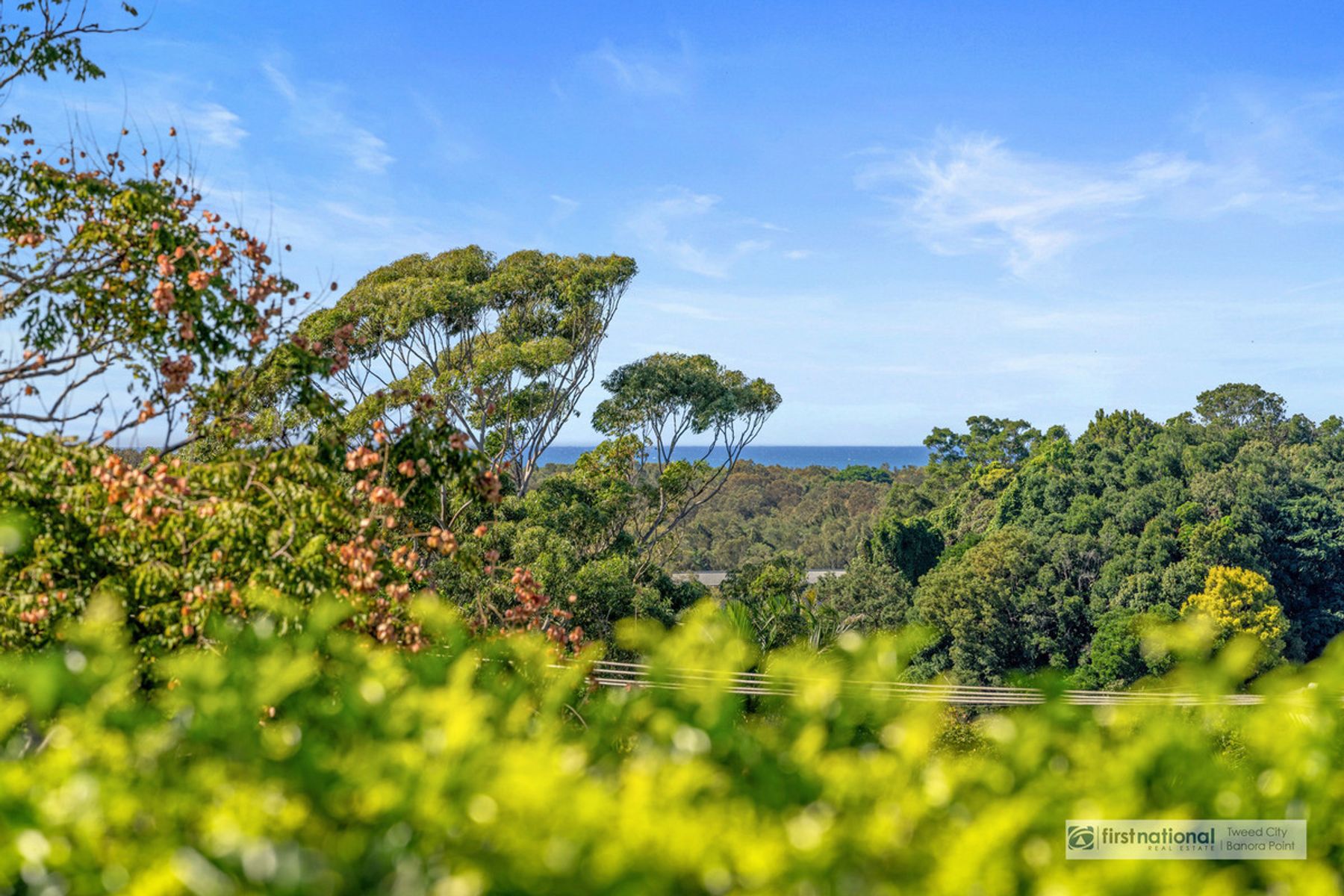 1/8 Mibbin Parade, Banora Point - Image 1