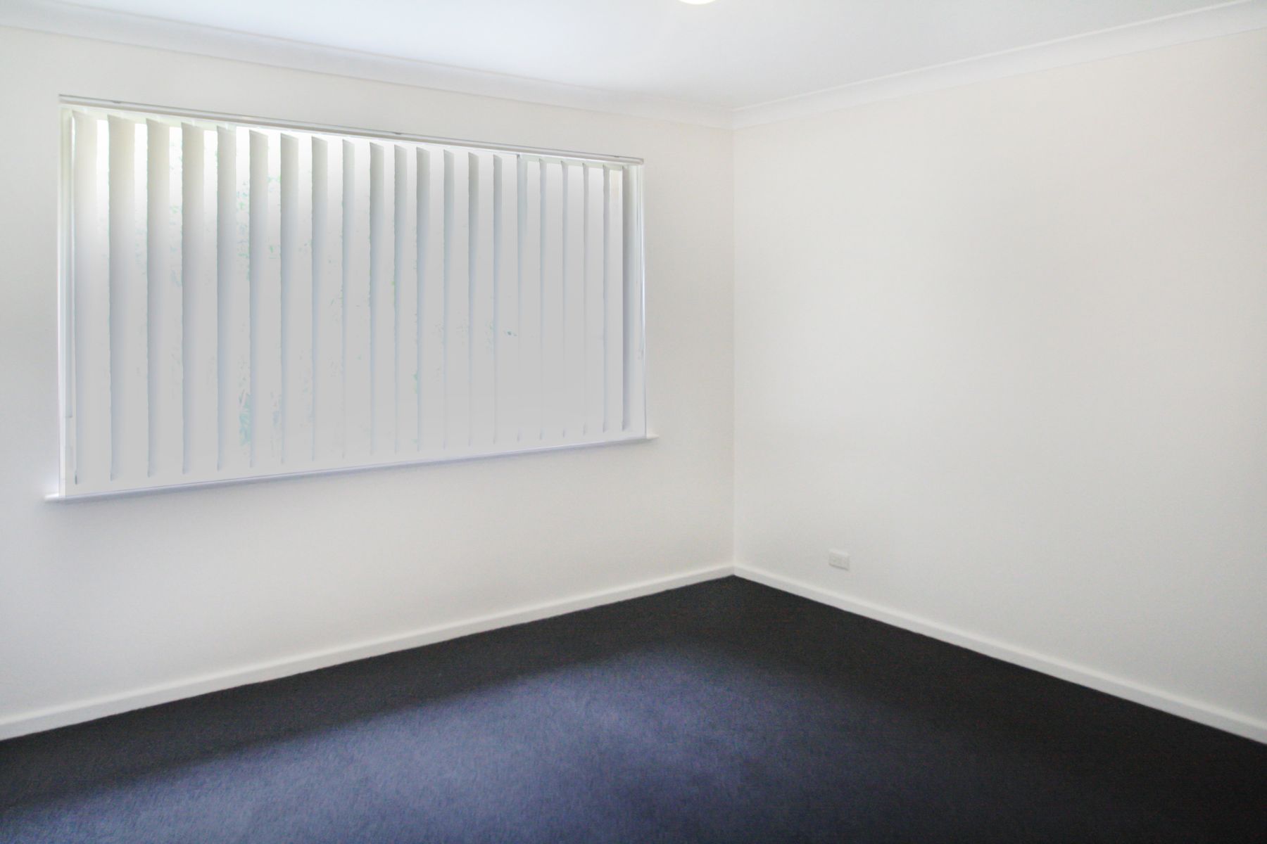 19 Regiment Road, Rutherford NSW 2320, Rutherford - Thumbnail 8