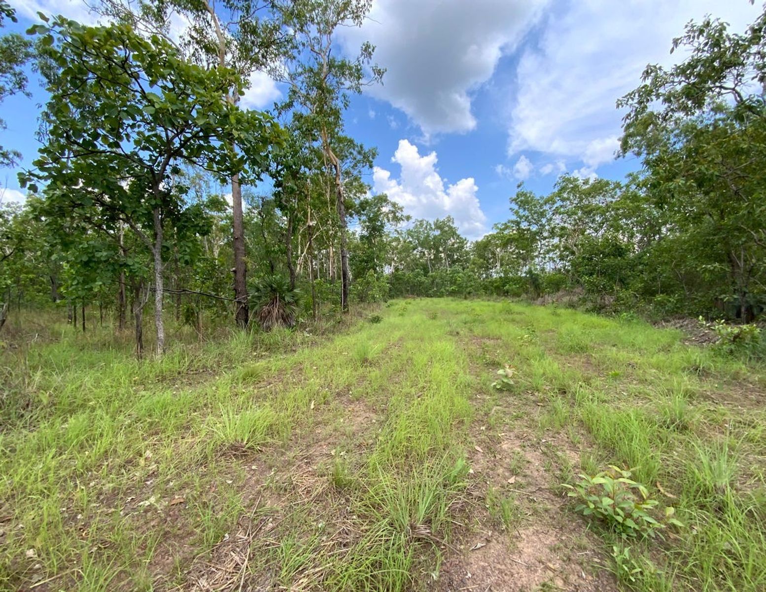 155 Produce Road, Humpty Doo, NT 0836, Humpty Doo - Thumbnail 6