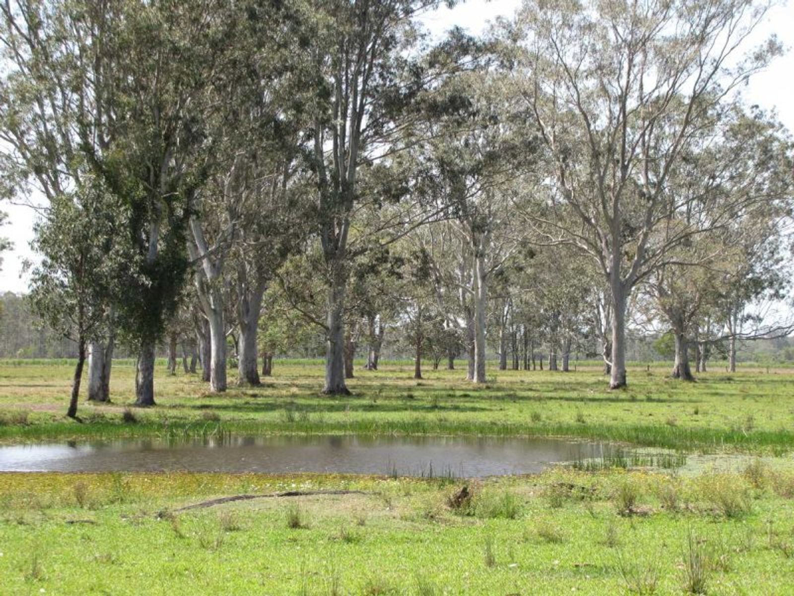 555 Tatham Ellangowan Rd, Ellangowan - Thumbnail 8