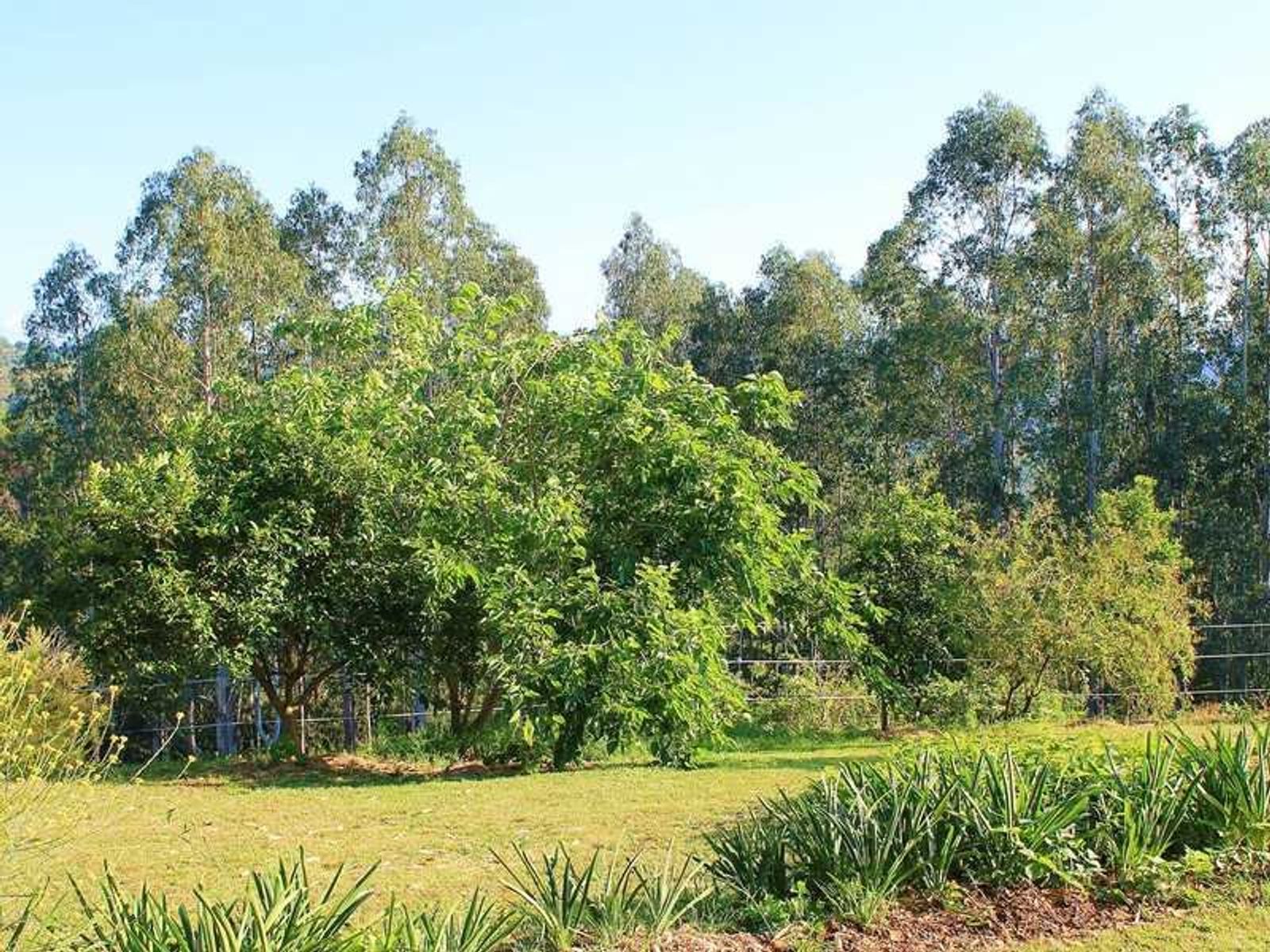 628 Koonorigan Road, Koonorigan - Thumbnail 8