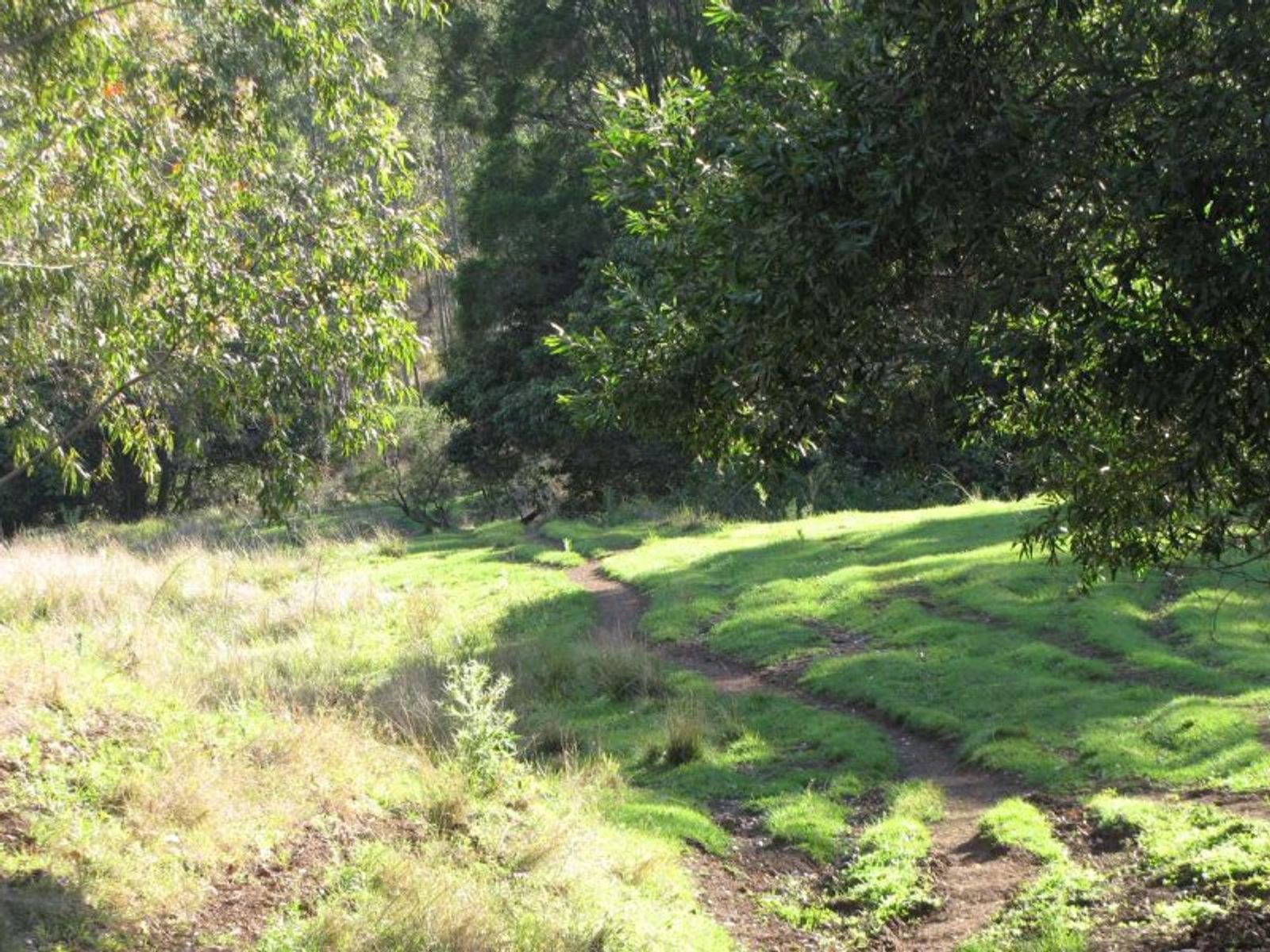 Muller Roseberry Creek Road, Roseberry Creek - Thumbnail 6