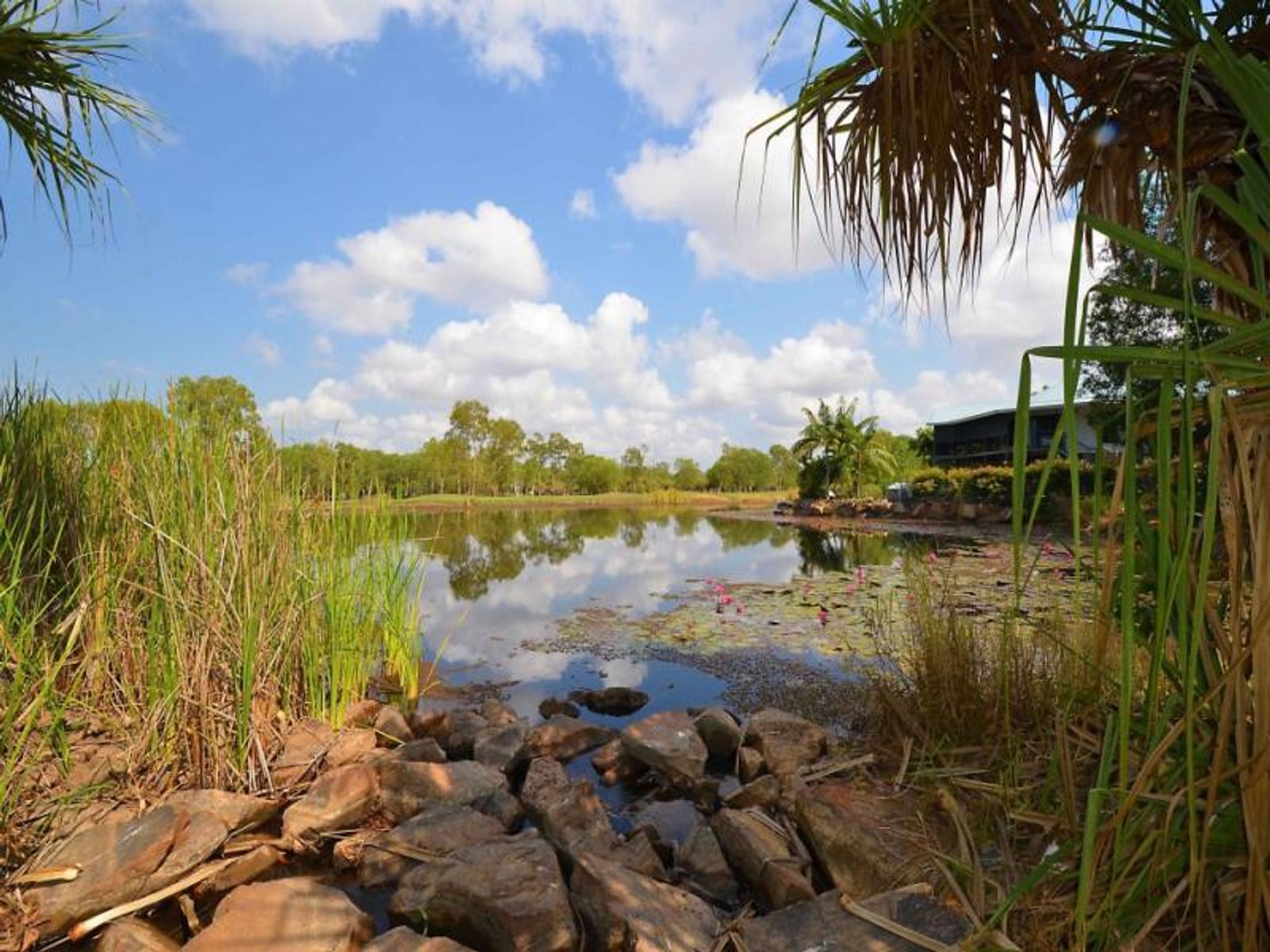 12 Hayes Court, Durack NT 0830, Durack - Thumbnail 4