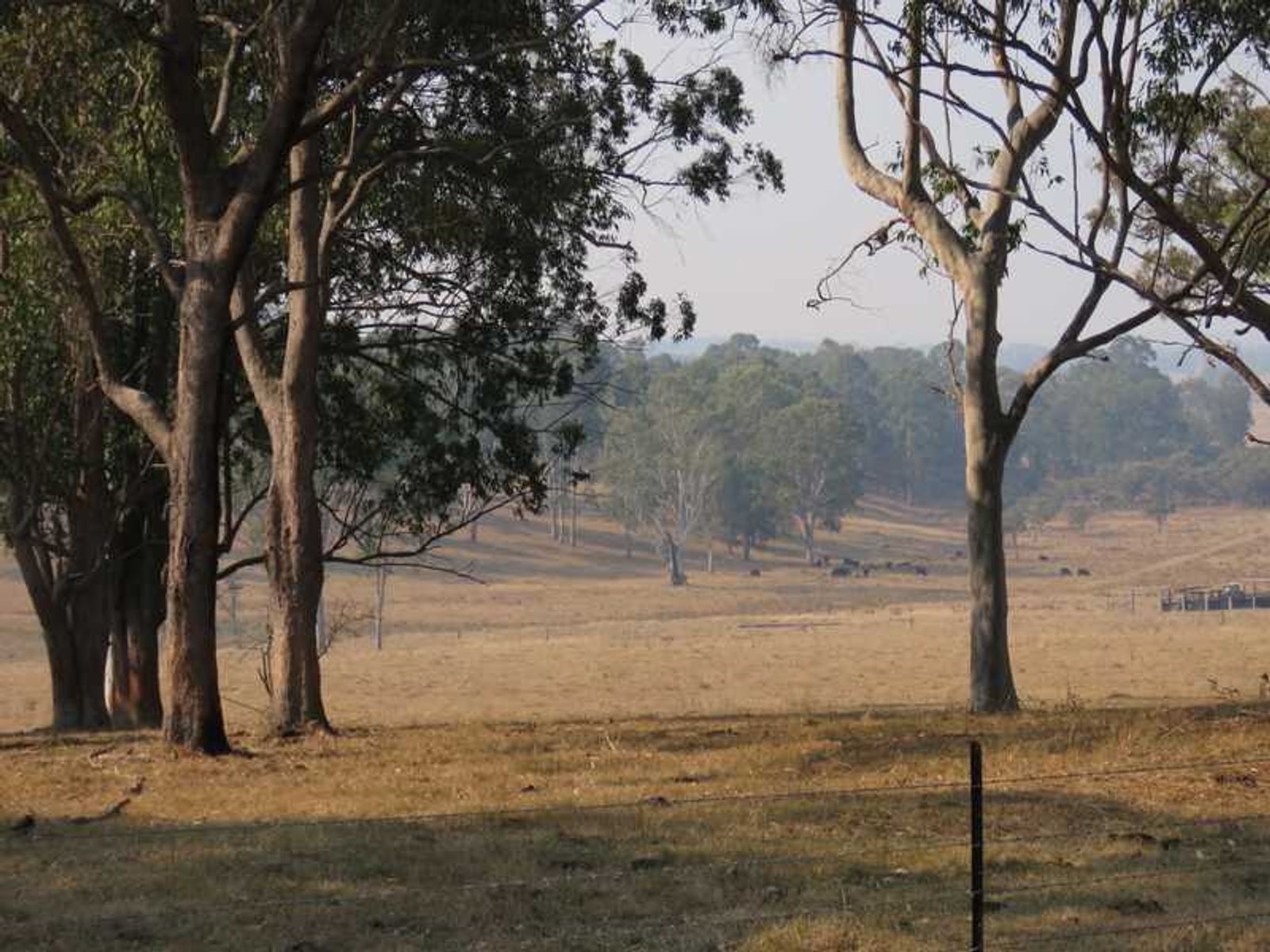 Mount Marsh Road, Whiporie - Thumbnail 4