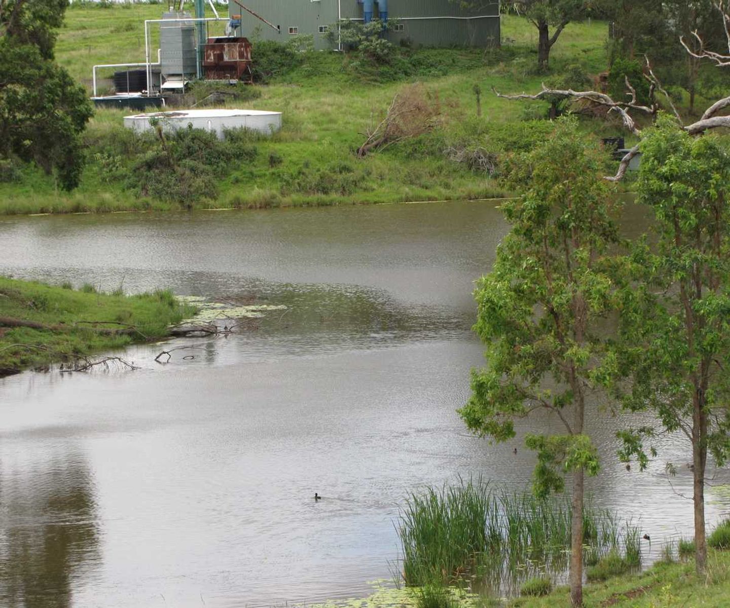 1275 Bulmers Road, Hogarth Range - Thumbnail 6