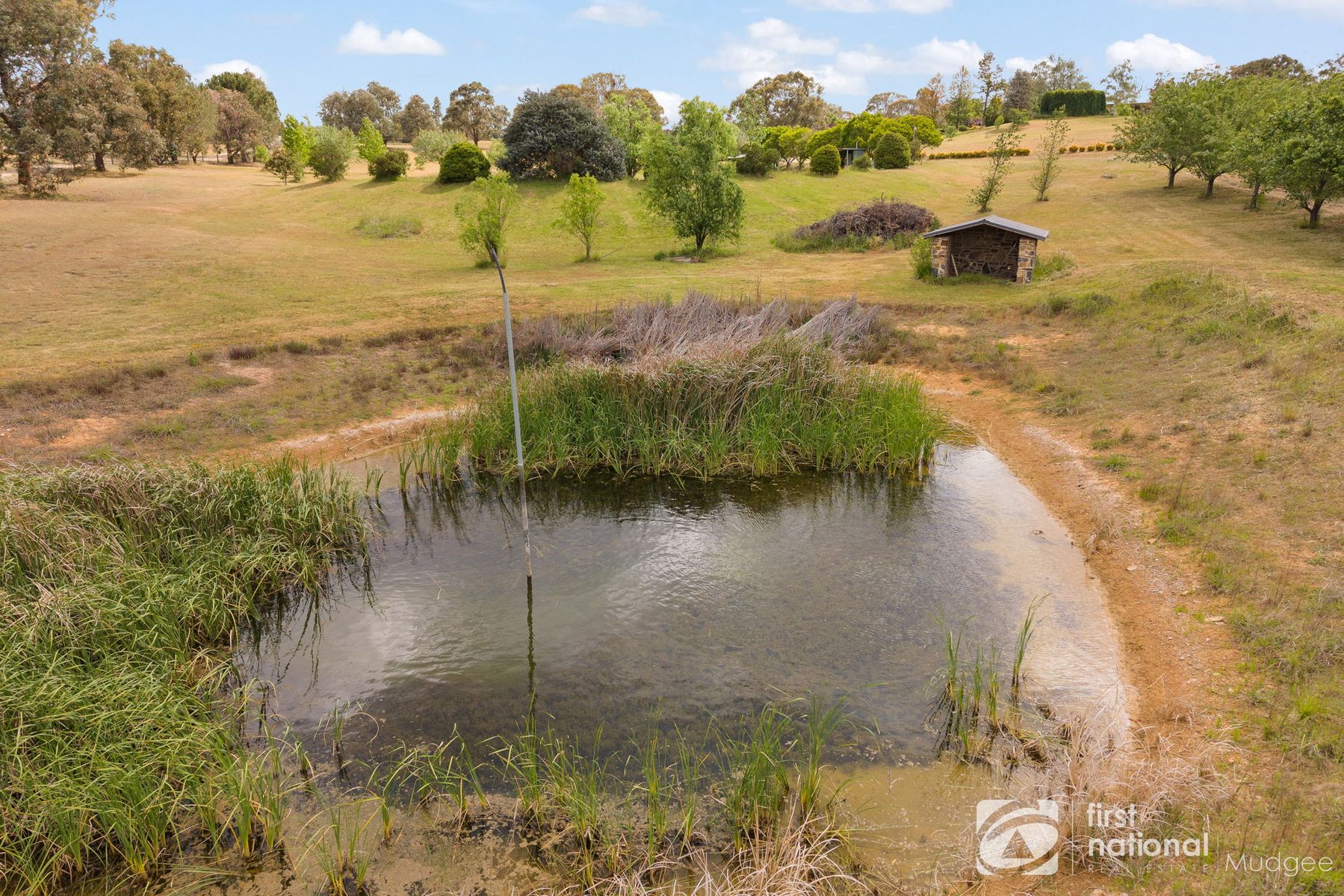 7 Boronia Road, Rylstone NSW 2849, Rylstone - Thumbnail 4