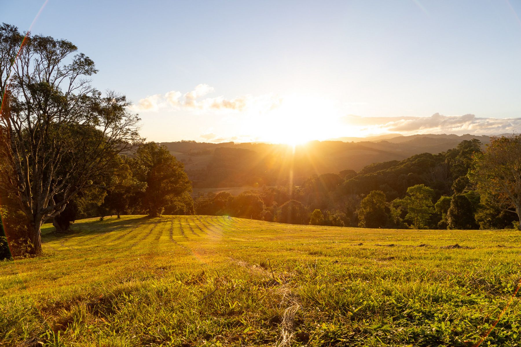 Lot 4/400 Coorabell Road, Coorabell NSW 2479, Coorabell - Image 1