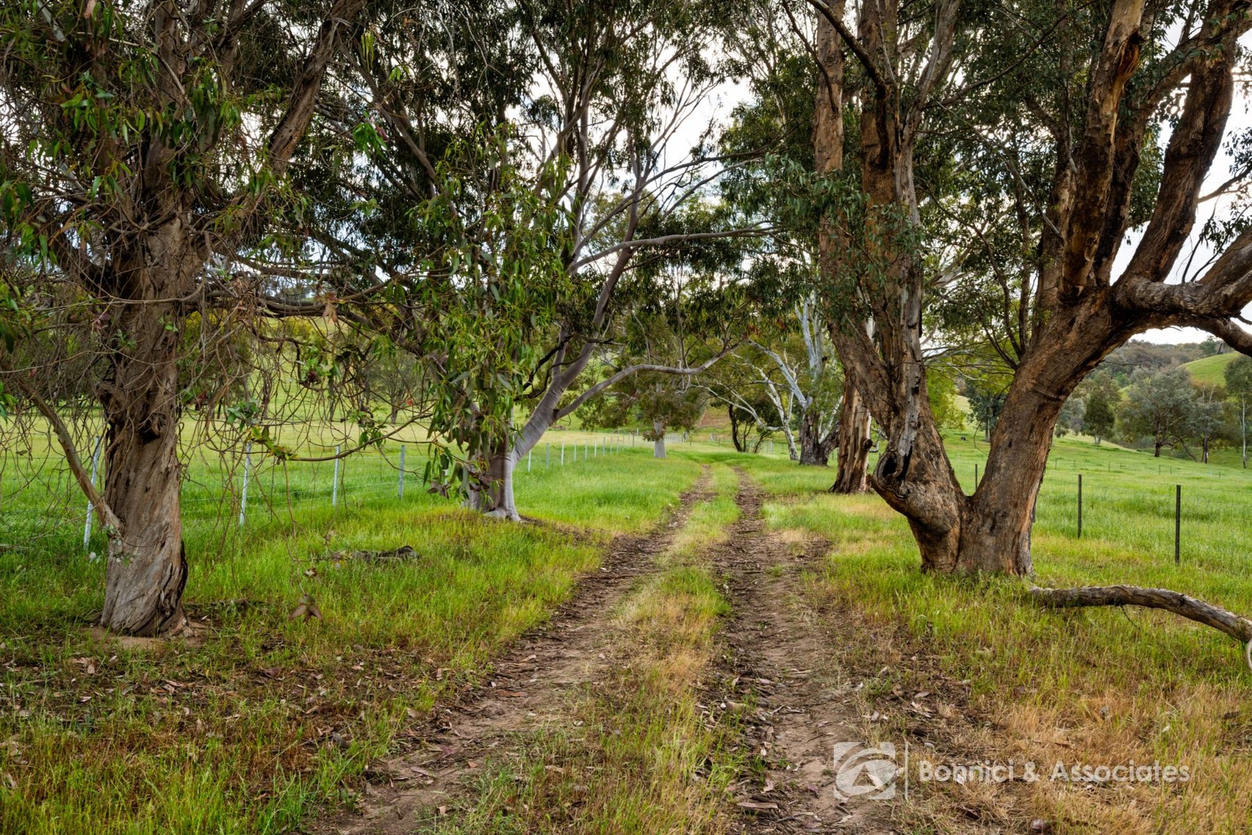Lot 2/PS917939 Indigo Creek Road, Indigo Valley VIC 3688, Indigo Valley - Thumbnail 8