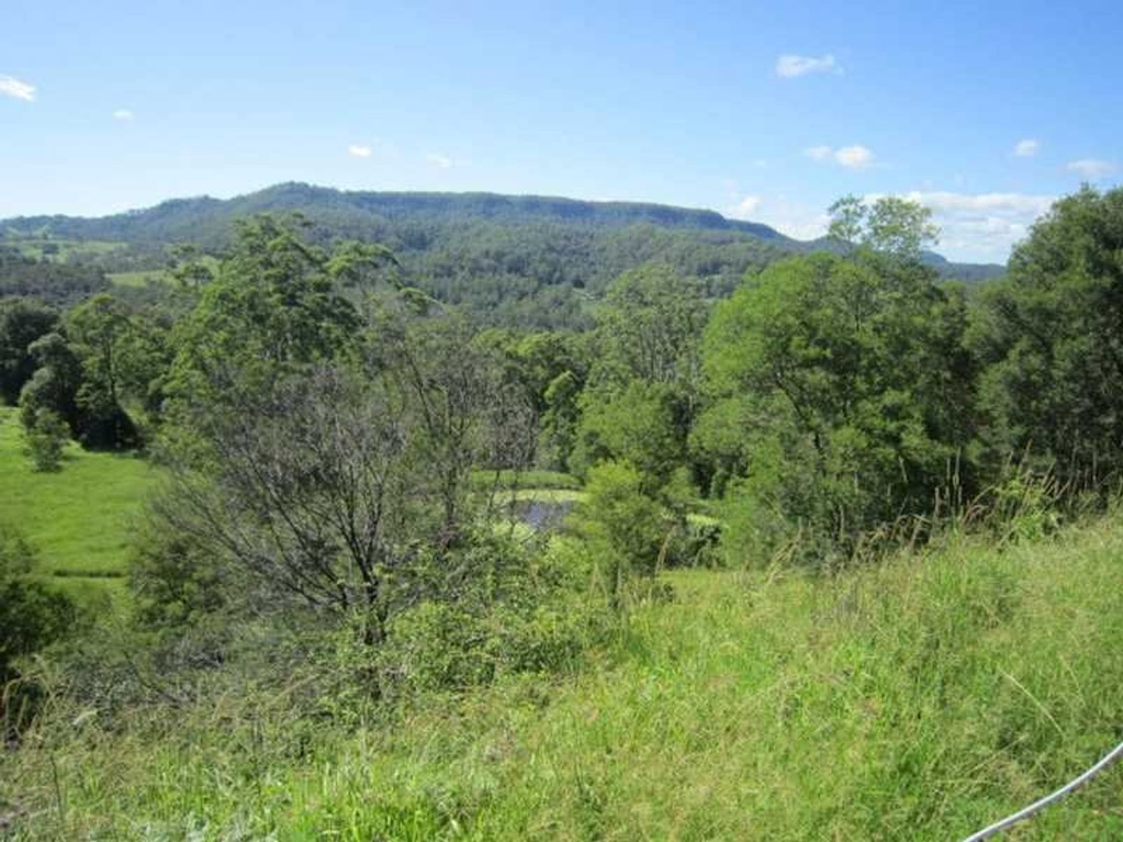 5005 Kyogle Road, Cawongla - Thumbnail 5