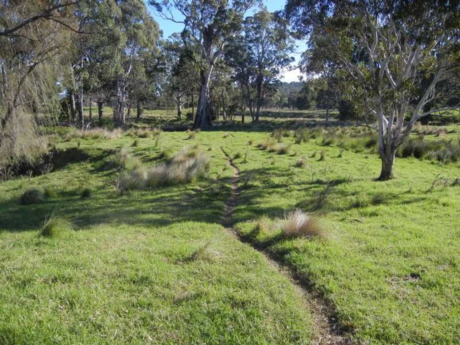 273 Killarney Road, Legume - Thumbnail 5