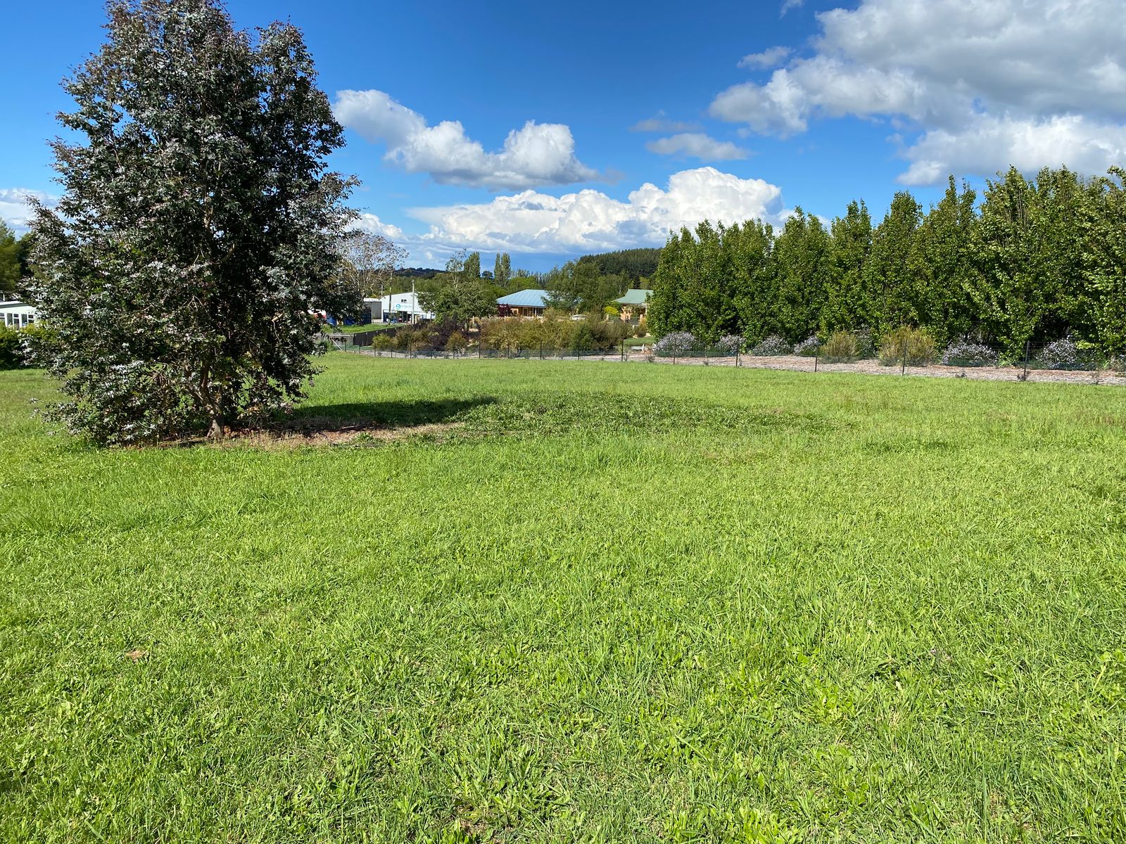 16 East Westbury Place,, Deloraine TAS 7304, Deloraine - Thumbnail 2