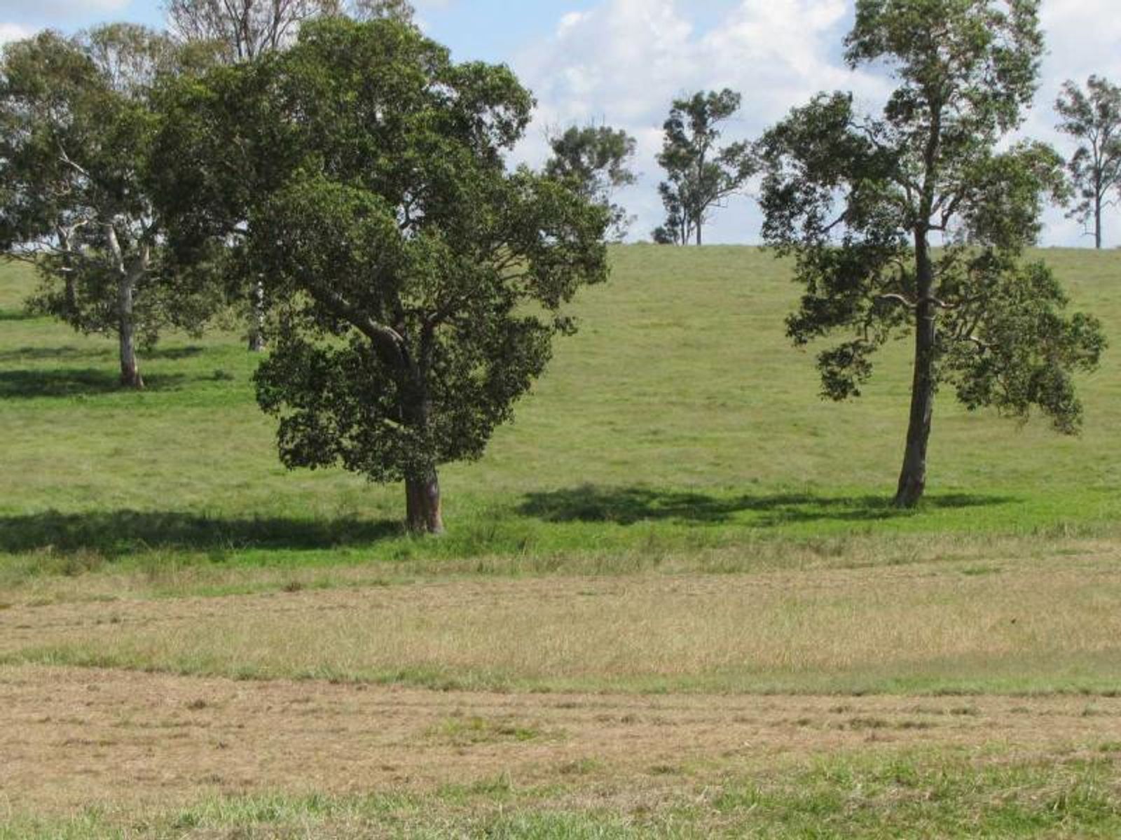 605 Stratheden Road, Stratheden - Thumbnail 7