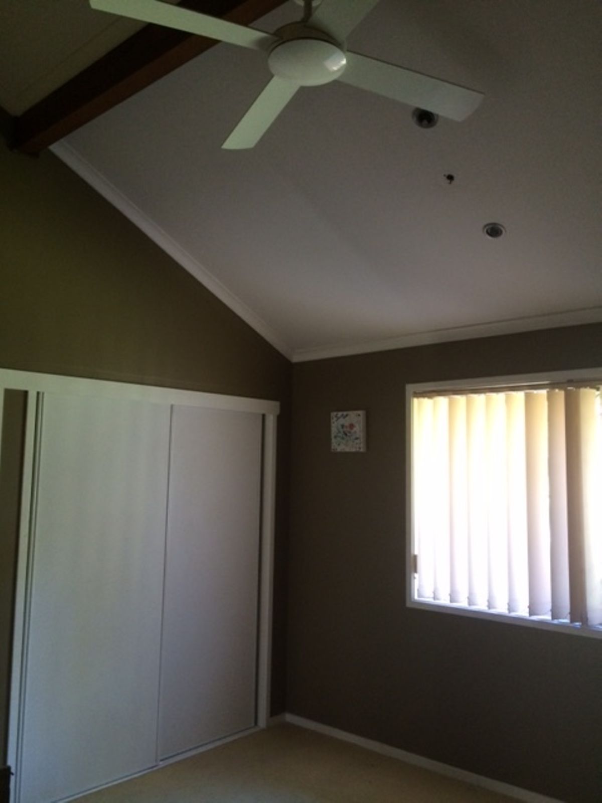Lightbox Image