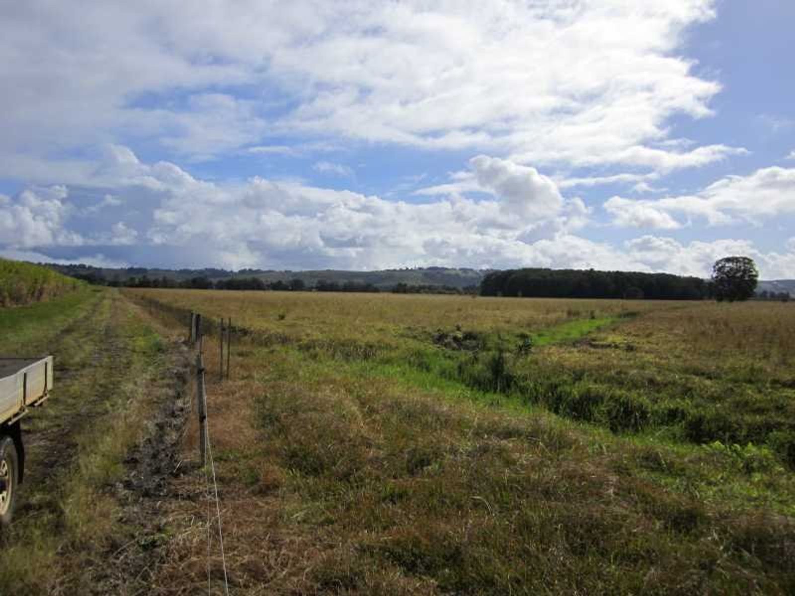 Lot 4 DP1034816 Newrybar Swamp Road, Lennox Head - Thumbnail 4