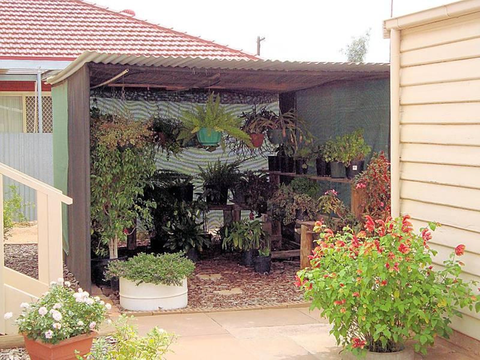 232 Ninth Street, Mildura - Thumbnail 5