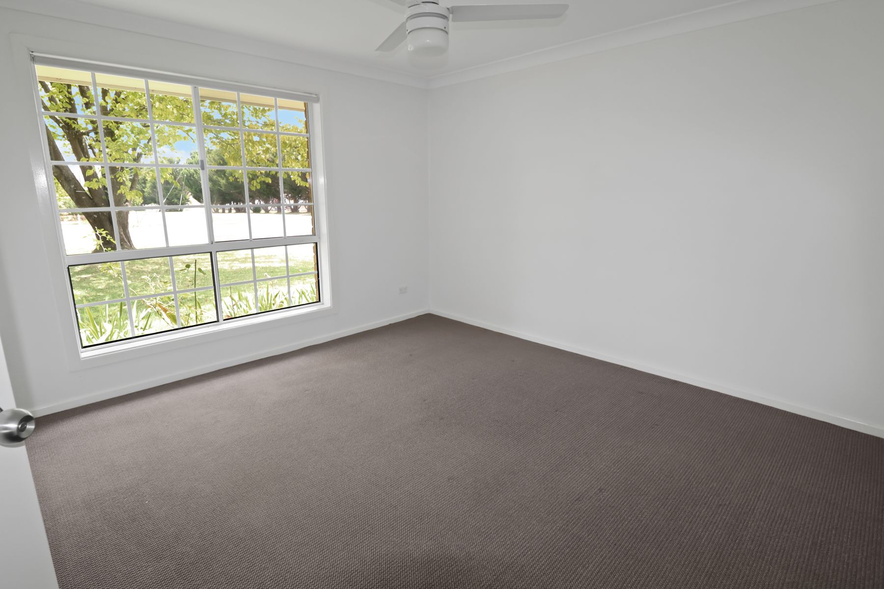 45 Derby Street, Glen Innes, NSW 2370, Glen Innes - Thumbnail 7