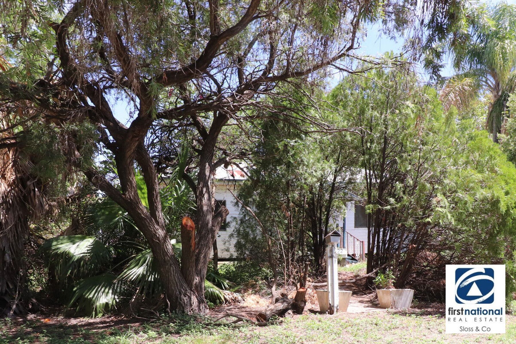 22 Marsh Street, Goondiwindi QLD 4390, Goondiwindi - Thumbnail 3