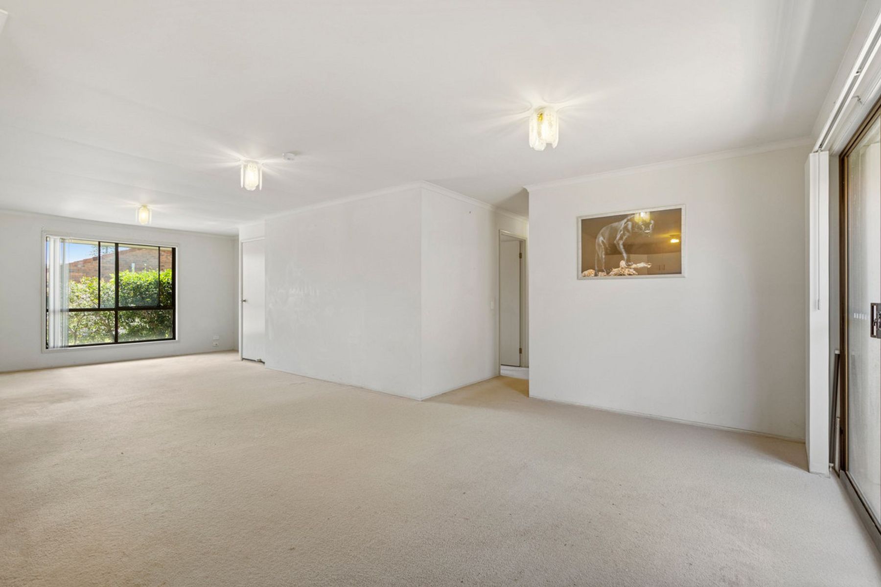 41 Lilly Pilly Drive, Banora Point, NSW 2486, Banora Point - Thumbnail 3