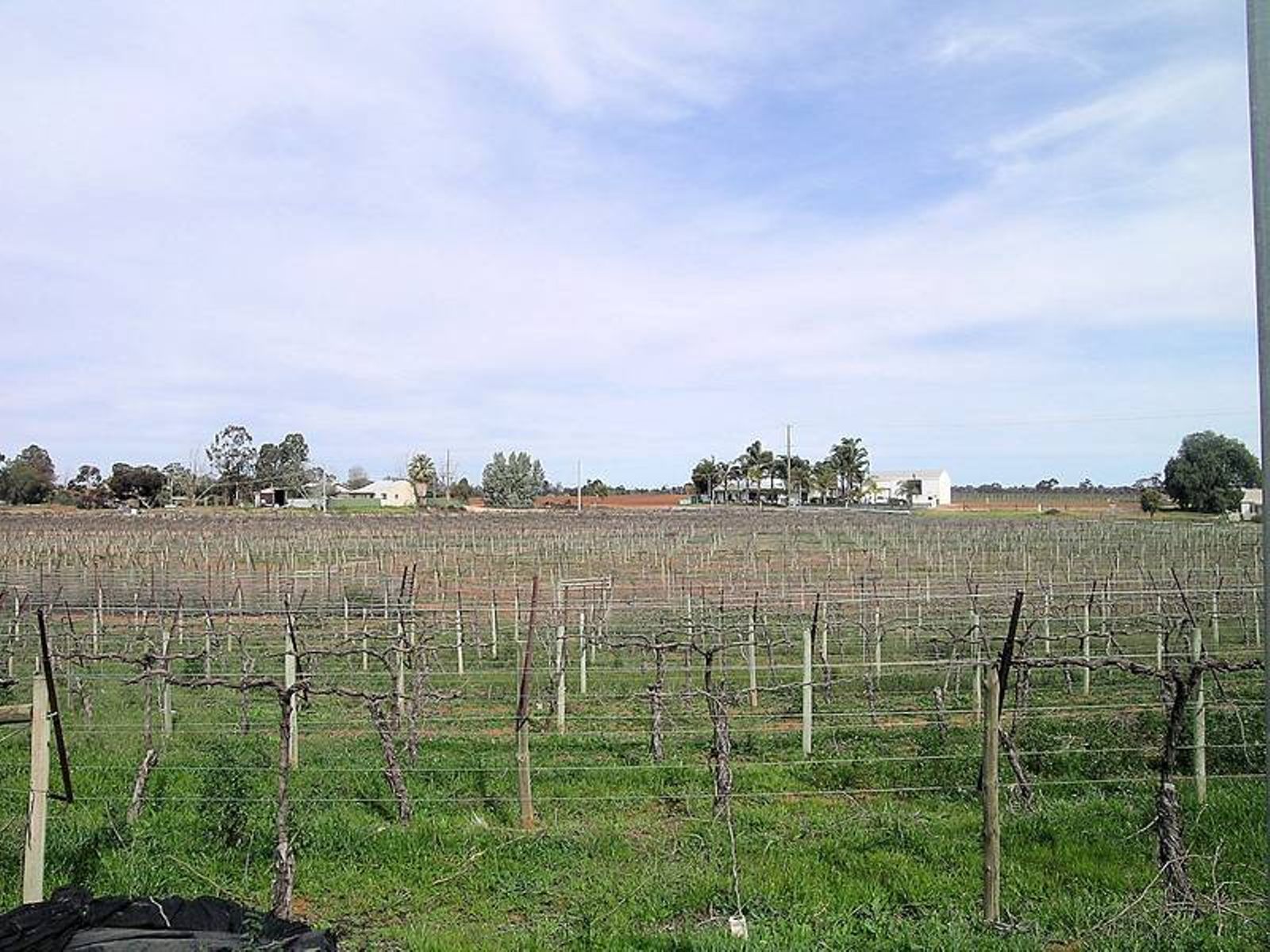 12 Gothorp Road, Irymple - Thumbnail 5