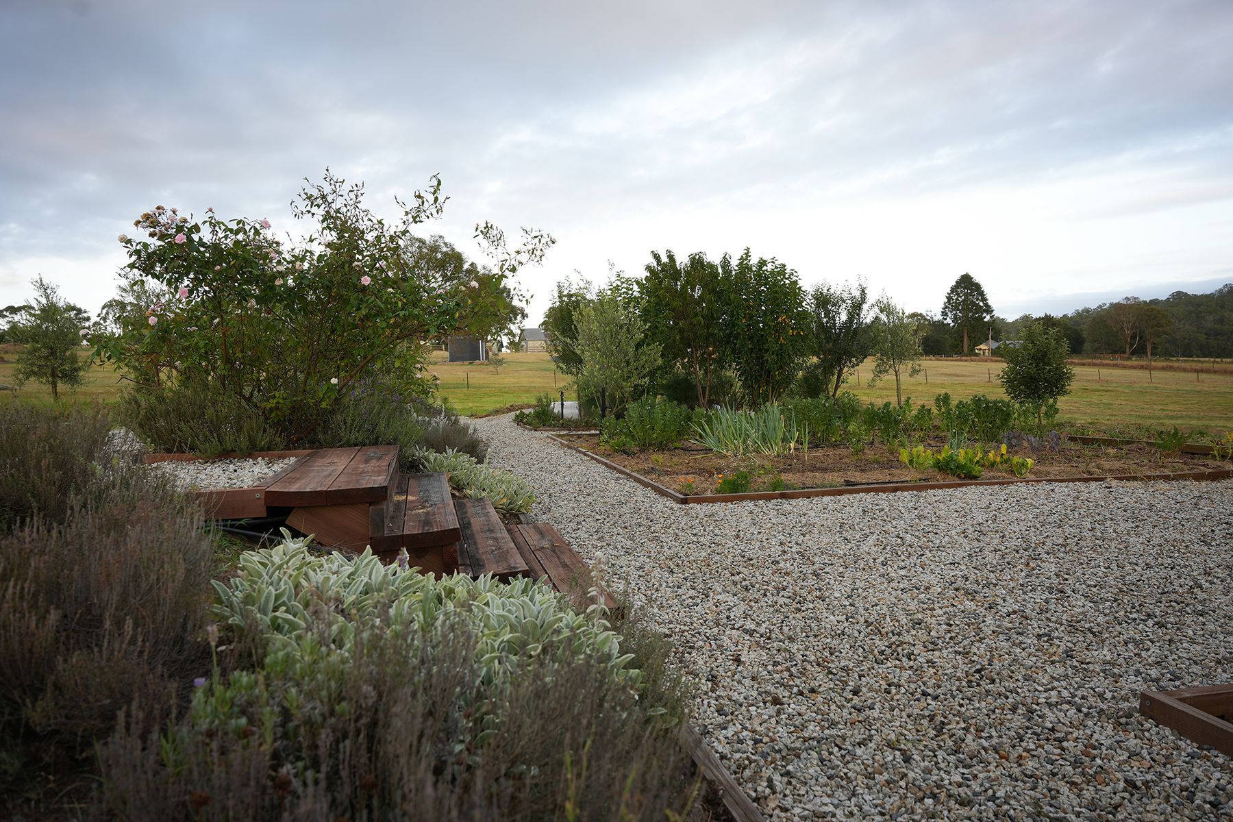 171 Millers Lane, Tenterfield NSW 2372, Tenterfield - Thumbnail 4