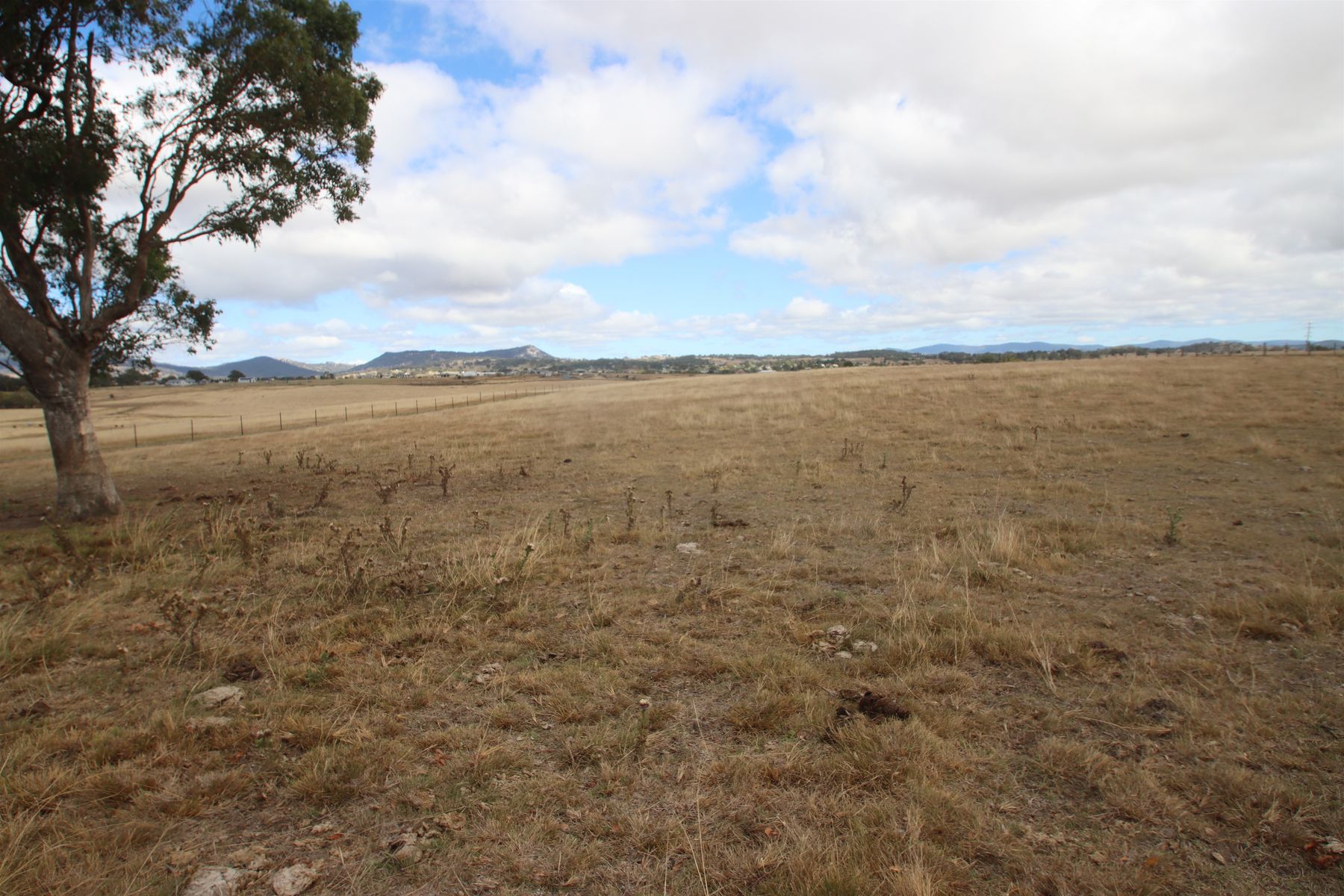 113B Bellevue Road, Tenterfield NSW 2372, Tenterfield - Thumbnail 7