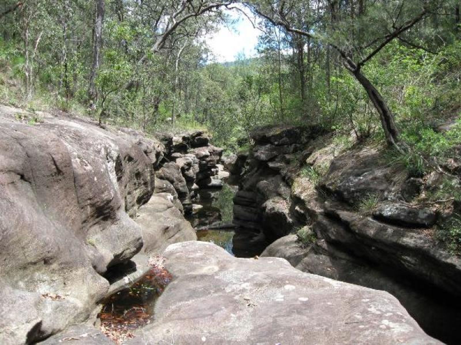 Old Bonalbo NSW 2469, Old Bonalbo - Thumbnail 7