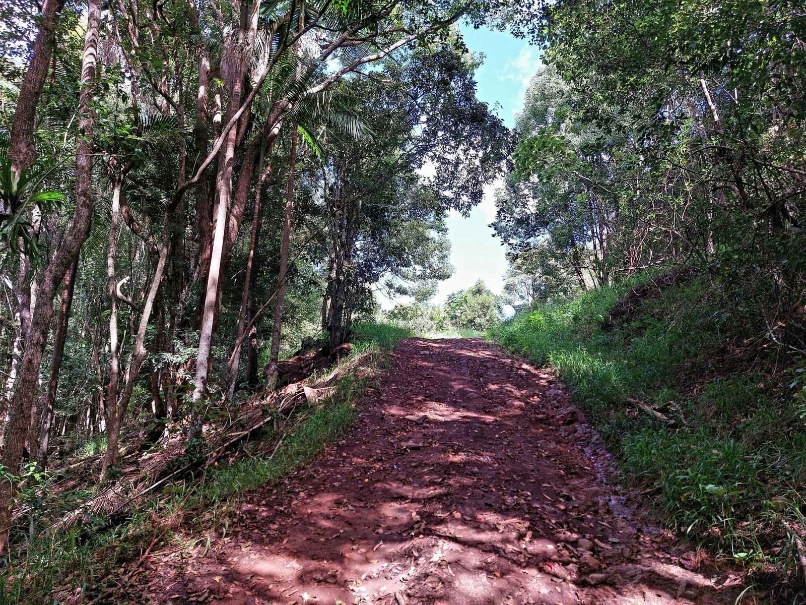 2/114 2/114  Maso Rd, Repentance Creek - Thumbnail 5