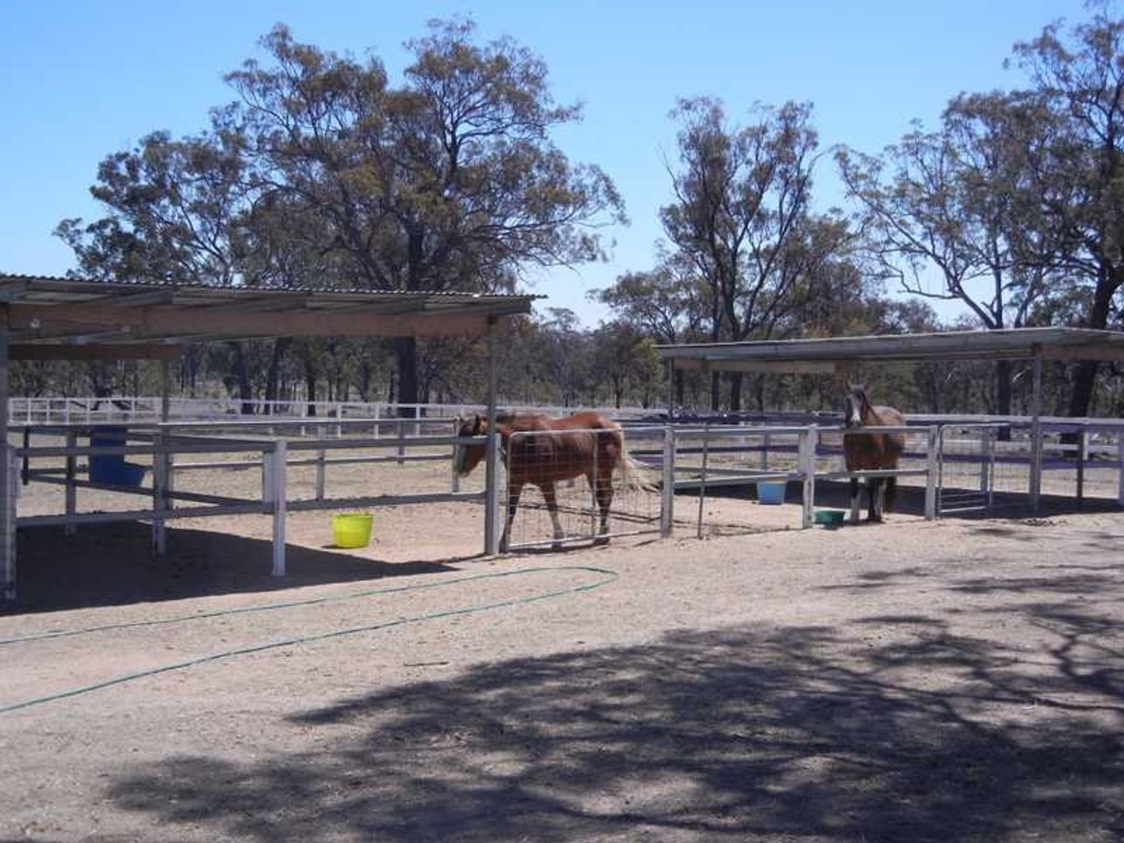 20641 New England HIghway, Warwick, QLD 4370, The Glen - Thumbnail 8