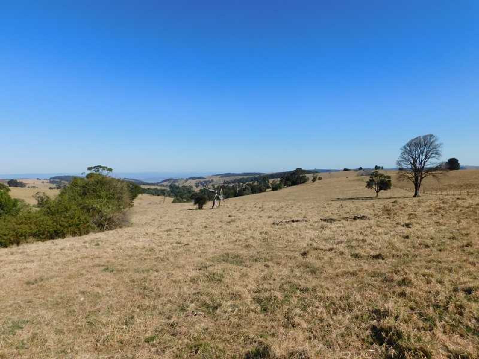 129 Bowleys Road, The Falls - Thumbnail 6